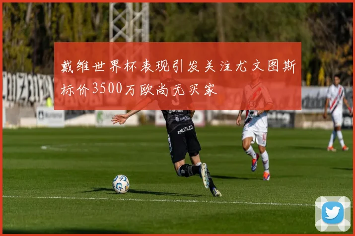 戴维世界杯表现引发关注尤文图斯标价3500万欧尚无买家