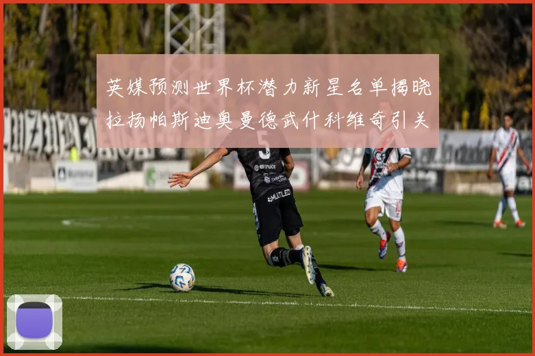 英媒预测世界杯潜力新星名单揭晓拉扬帕斯迪奥曼德武什科维奇引关注