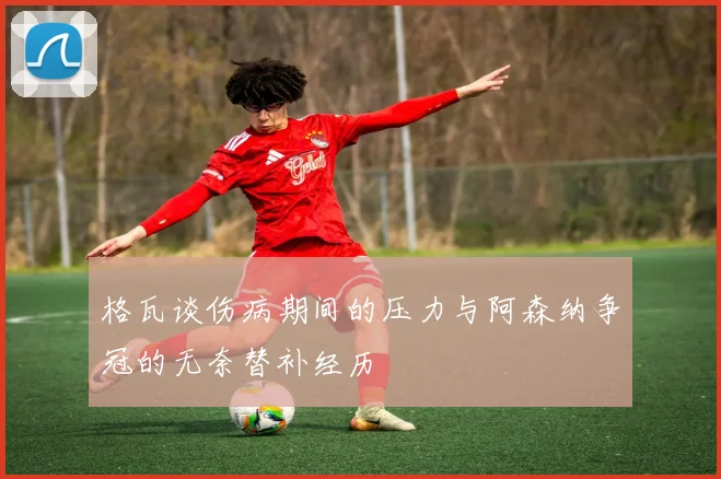 格瓦谈伤病期间的压力与阿森纳争冠的无奈替补经历
